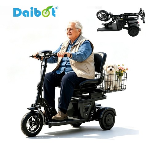 Daibot elektro dreirad - daibot, 3